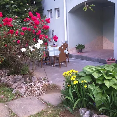 Apartment Viktoria *