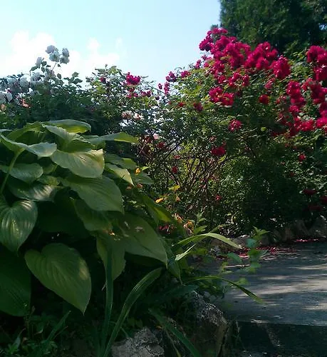 Apartment Viktoria Zalakaros