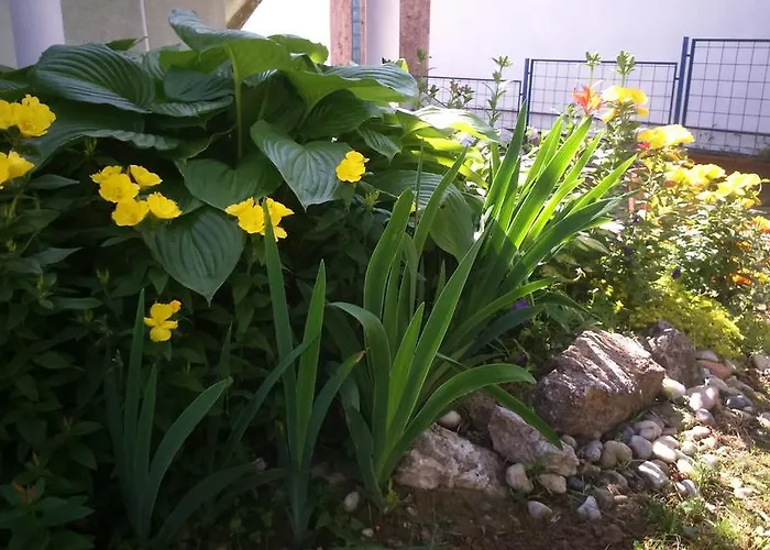 Viktoria זלקרוס