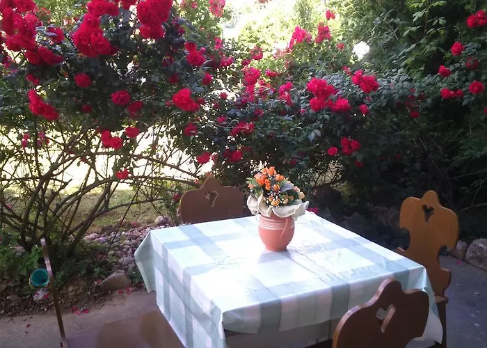 Viktoria זלקרוס